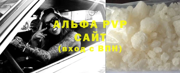 СК Зеленокумск