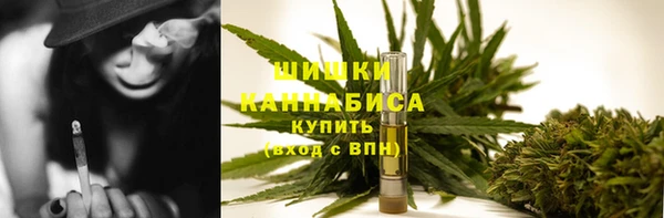 СК Зеленокумск