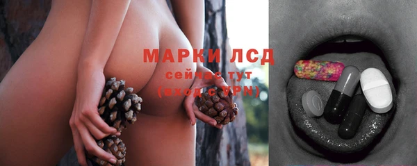 гидропоника Зеленодольск