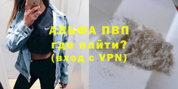 СК Зеленокумск