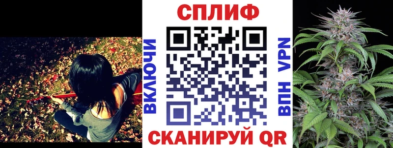 МАРИХУАНА ГИДРОПОН  Купить где  Болгар 